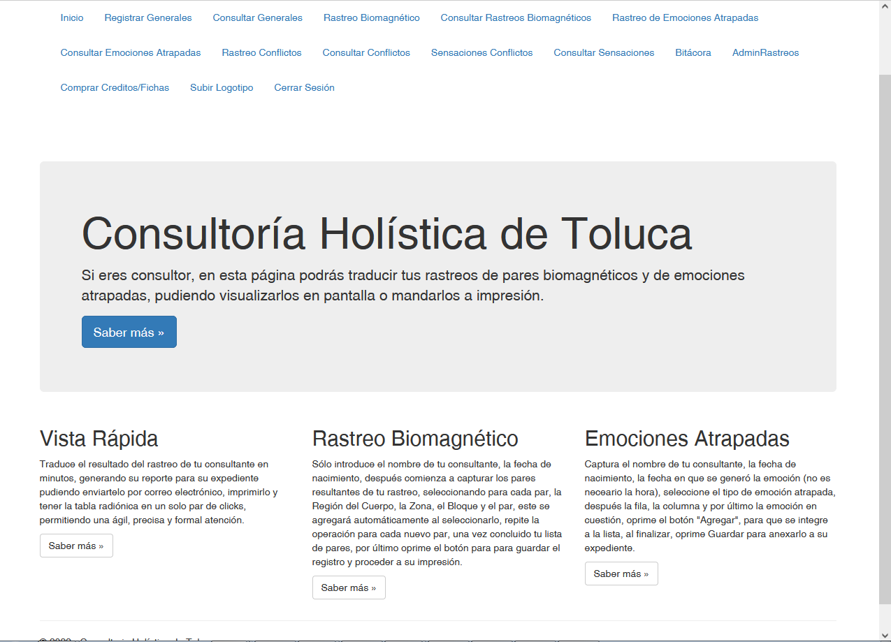 Consultoria Holísitca de Toluca